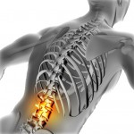 3D medical image of male with lower spine highlighted